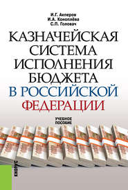 Казначейская система исполнения бюджета в Российской Федерации