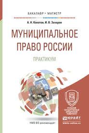 Муниципальное право России. Практикум. Учебное пособие для бакалавриата и магистратуры