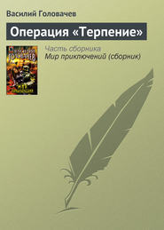 Операция «Терпение»