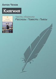 Княгиня