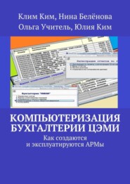 Компьютеризация бухгалтерии ЦЭМИ – теория и практика