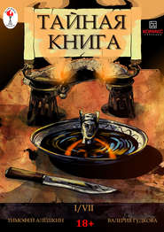 Тайная книга. Глава 1