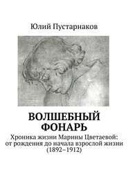 Волшебный фонарь. Хроника жизни Марины Цветаевой: от рождения до начала взрослой жизни (1892–1912)