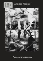 Подхватить зеркало. Роман с самим собой