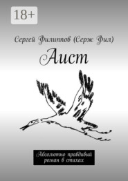 Аист. Абсолютно правдивый роман в стихах