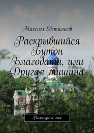 Раскрывшийся Бутон Благодати, или Другая тишина. Рассказы и эссе