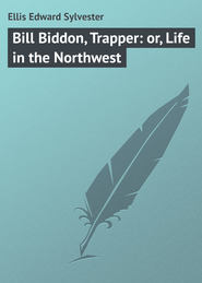 Bill Biddon, Trapper: or, Life in the Northwest