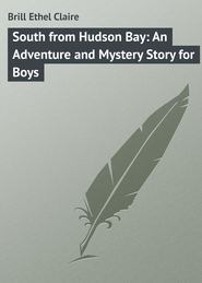 South from Hudson Bay: An Adventure and Mystery Story for Boys