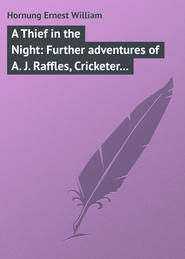 A Thief in the Night: Further adventures of A. J. Raffles, Cricketer and Cracksman