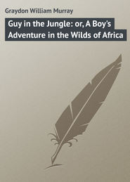 Guy in the Jungle: or, A Boy&apos;s Adventure in the Wilds of Africa