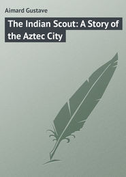 The Indian Scout: A Story of the Aztec City