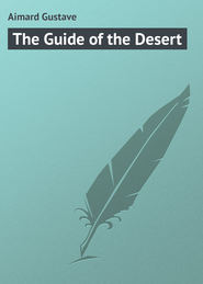 The Guide of the Desert