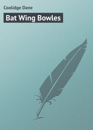 Bat Wing Bowles