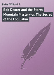 Bob Dexter and the Storm Mountain Mystery or, The Secret of the Log Cabin