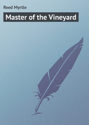 Master of the Vineyard