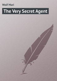 The Very Secret Agent