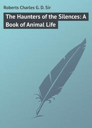 The Haunters of the Silences: A Book of Animal Life