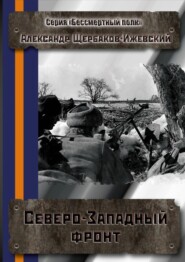 Северо-Западный фронт. Серия «Бессмертный полк»