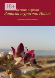 Записки туриста. Индия. Дневник путешественника