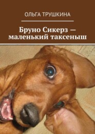 Бруно Сикерз – маленький таксеныш. Истории и сказки одной хитрой таксы