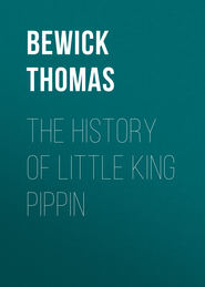 The History of Little King Pippin