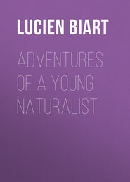 Adventures of a Young Naturalist