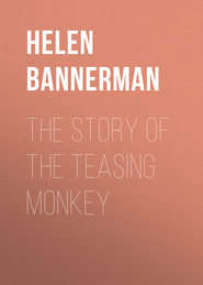 The Story of the Teasing Monkey