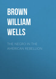 The Negro in The American Rebellion