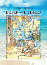 Ветер – в лицо (сборник)