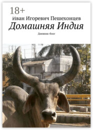 Домашняя Индия. Дневник-блог