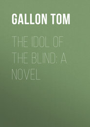 The Idol of The Blind: A Novel