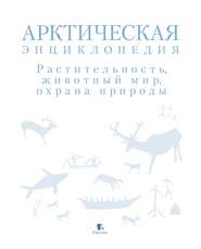 Арктическая энциклопедия. Растительность, животный мир, охрана природы