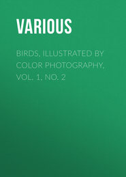 Birds, Illustrated by Color Photography, Vol. 1, No. 2