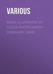 Birds Illustrated by Color Photography [February, 1898]