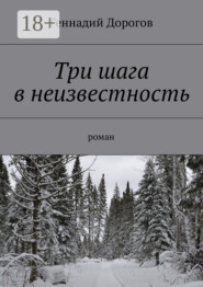 Три шага в неизвестность. Роман