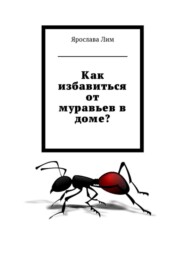 Как избавиться от муравьев в доме?