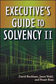 Executive's Guide to Solvency II