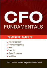 CFO Fundamentals. Your Quick Guide to Internal Controls, Financial Reporting, IFRS, Web 2.0, Cloud Computing, and More