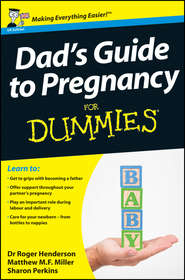 Dad&apos;s Guide to Pregnancy For Dummies