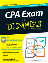 CPA Exam For Dummies