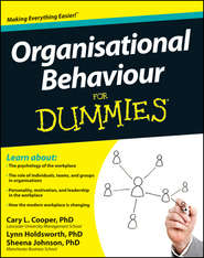 Organisational Behaviour For Dummies