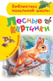 Лесные картинки