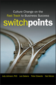 SwitchPoints. Culture Change on the Fast Track to Business Success