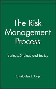 The Risk Management Process. Business Strategy and Tactics