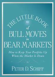 The Little Book of Bull Moves in Bear Markets. How to Keep Your Portfolio Up When the Market is Down