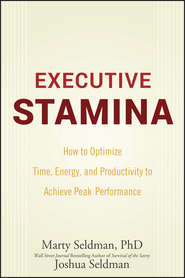 Executive Stamina. How to Optimize Time, Energy, and Productivity to Achieve Peak Performance