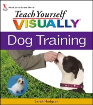 Teach Yourself VISUALLY Dog Training