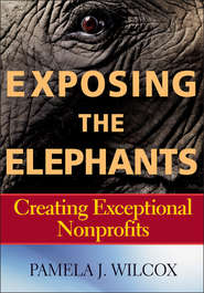 Exposing the Elephants. Creating Exceptional Nonprofits