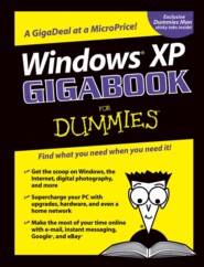 Windows XP Gigabook For Dummies