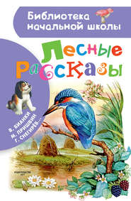 Лесные рассказы